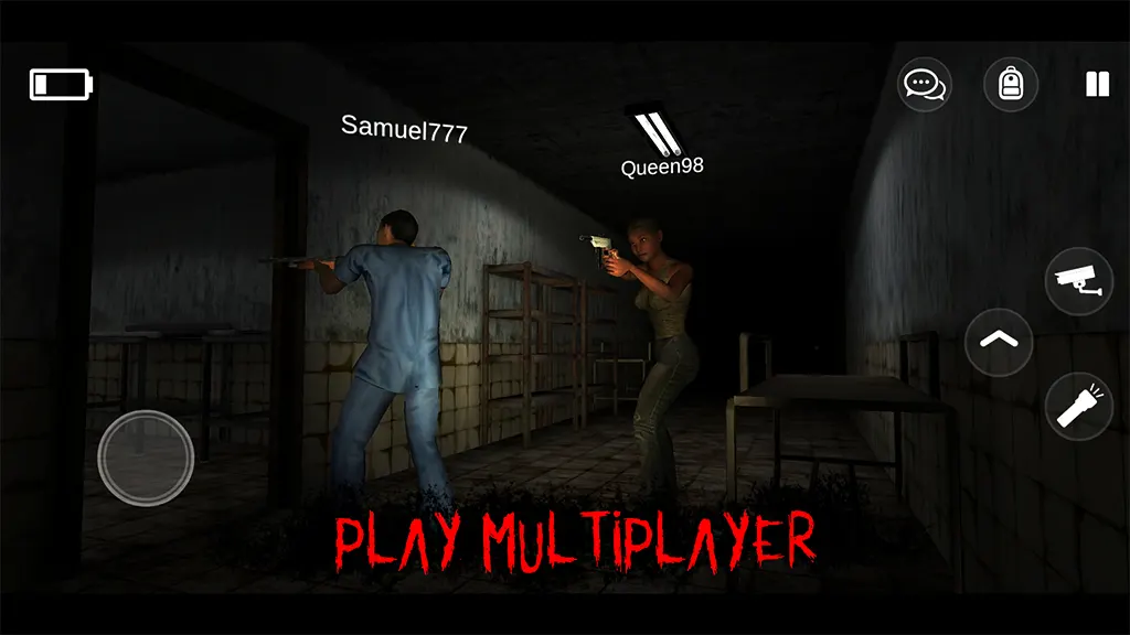Play Multiplayer