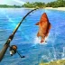 Fishing Clash v1.0.203 MOD APK (Mega Combo)