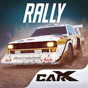CarX Rally Features